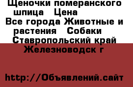 Щеночки померанского шпица › Цена ­ 25 000 - Все города Животные и растения » Собаки   . Ставропольский край,Железноводск г.